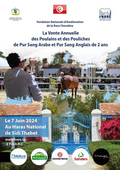 La Vente Mixte Des Chevaux Pur Sang Arabe et Pur Sang Anglais